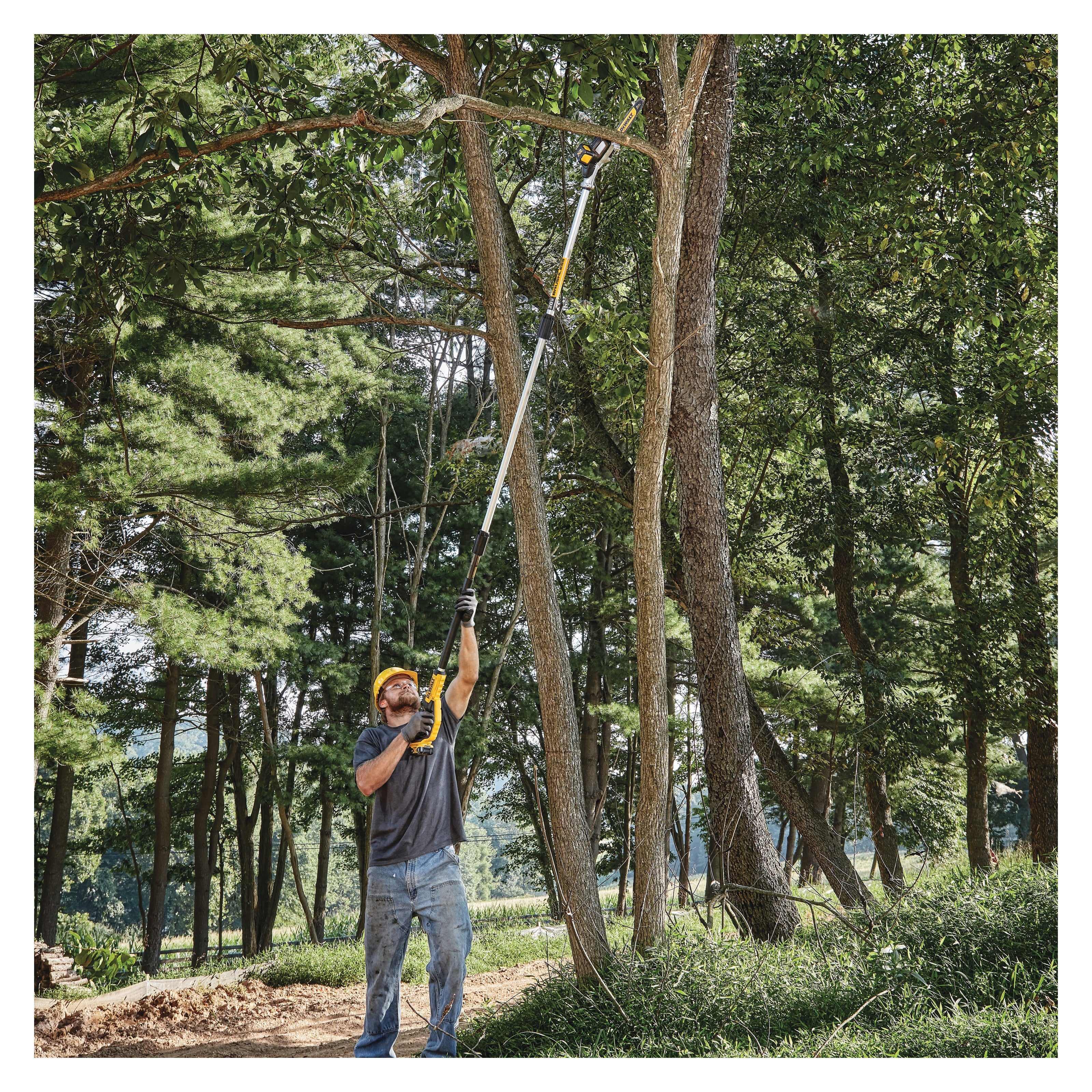 DeWALT® DCPS620B Brushless Cordless Pole Saw, 8 in L Bar/Chain, 20 V DC, Li-Ion Battery