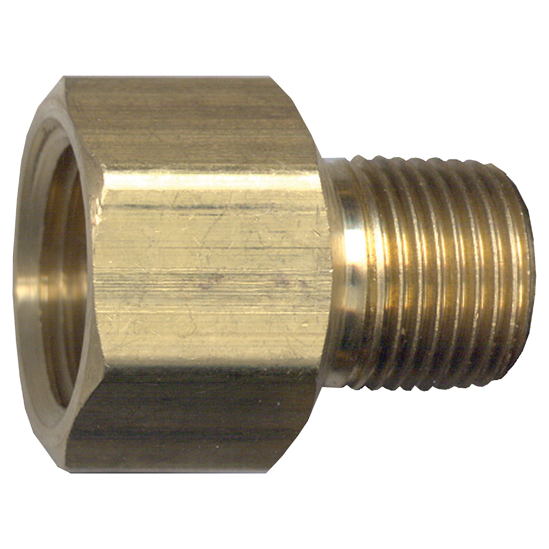 Fairview 120-ED Pipe Adapter, 3/4 x 1/2 in Nominal, FNPT x MNPT End Style, Brass, Import