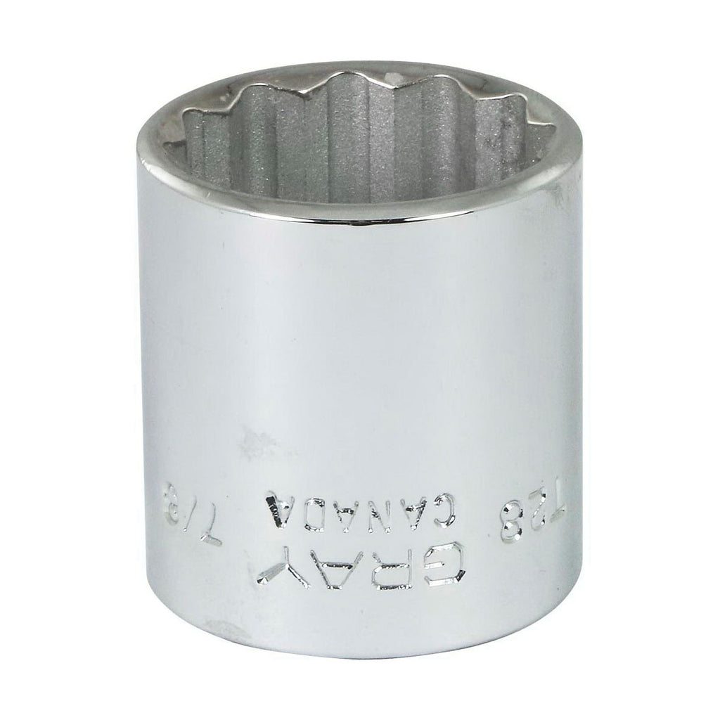 Gray Tools T28 Standard Socket, Imperial, 3/8 in, 7/8 in Hex Socket, 12 Points