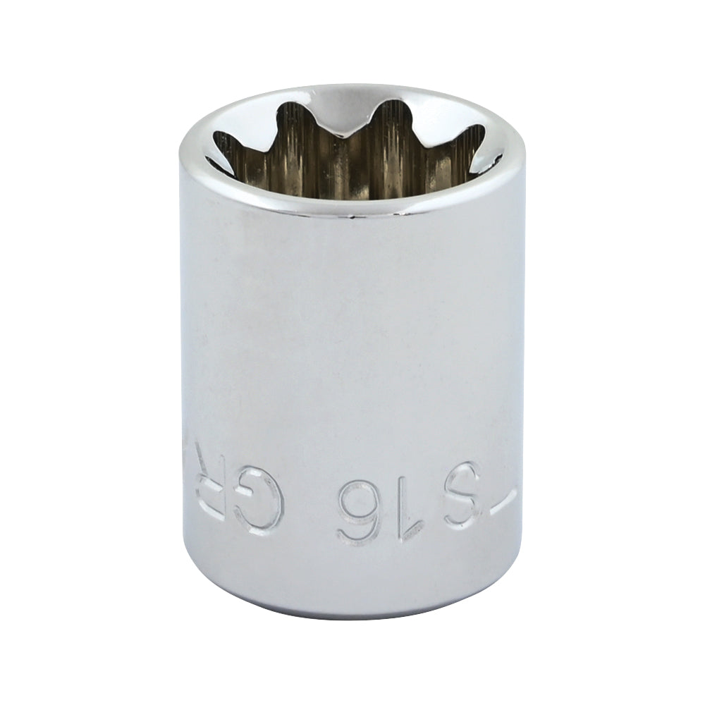 Gray Tools TS16 Standard Socket, Imperial, 3/8 in, 1/2 in Double Square Socket, 8 Points