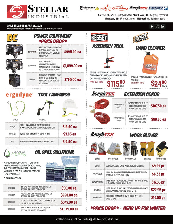 Stellar Winter Flyer 2026